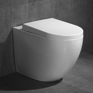 Toilet Series